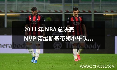 2011 年 NBA 总决赛 MVP 诺维斯基带领小牛队战胜热火三巨头