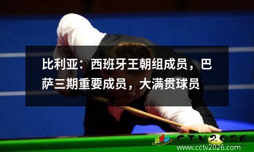 比利亚：西班牙王朝组成员，巴萨三期重要成员，大满贯球员