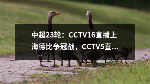 中超23轮：CCTV16直播上海德比争冠战，CCTV5直播天津VS武汉