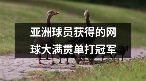 亚洲球员获得的网球大满贯单打冠军