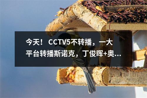 今天！ CCTV5不转播，一大平台转播斯诺克，丁俊晖+奥沙利文联手进8强
