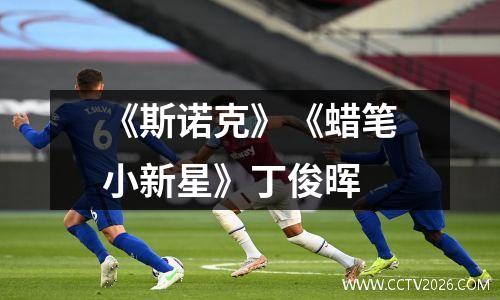 《斯诺克》《蜡笔小新星》丁俊晖