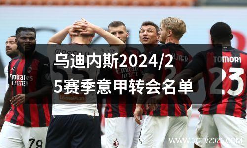 乌迪内斯2024/25赛季意甲转会名单