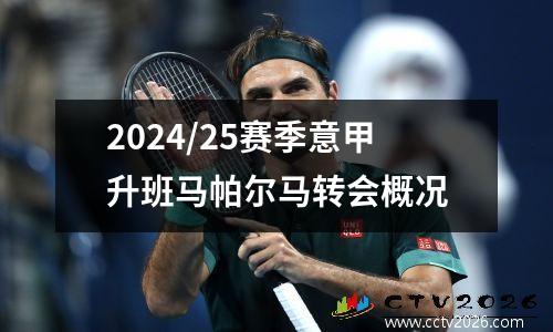 2024/25赛季意甲升班马帕尔马转会概况