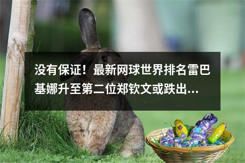 没有保证！最新网球世界排名雷巴基娜升至第二位郑钦文或跌出前十