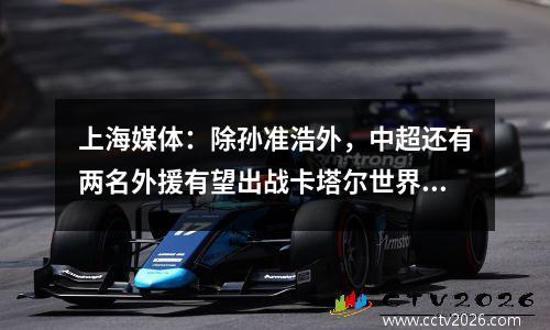 上海媒体：除孙准浩外，中超还有两名外援有望出战卡塔尔世界杯