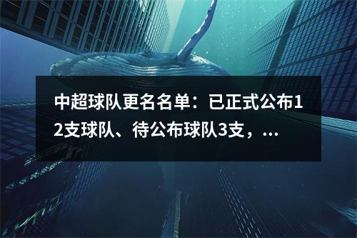中超球队更名名单：已正式公布12支球队、待公布球队3支，只剩国安悬念