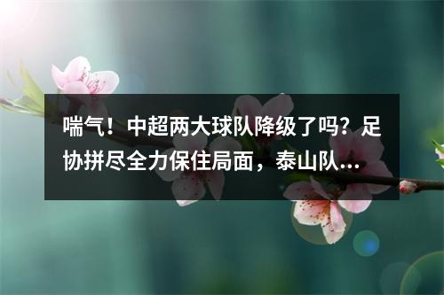 喘气！中超两大球队降级了吗？足协拼尽全力保住局面，泰山队拼尽全力证明一分