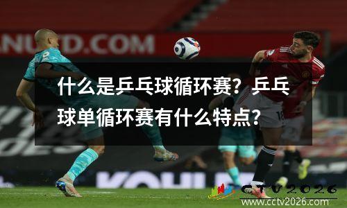 什么是乒乓球循环赛？乒乓球单循环赛有什么特点？