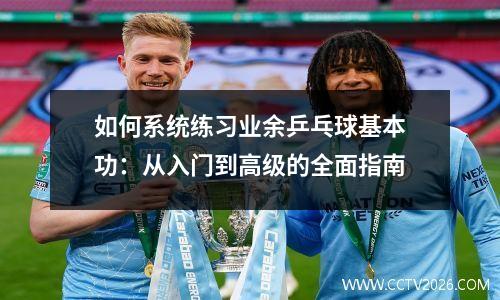 如何系统练习业余乒乓球基本功：从入门到高级的全面指南