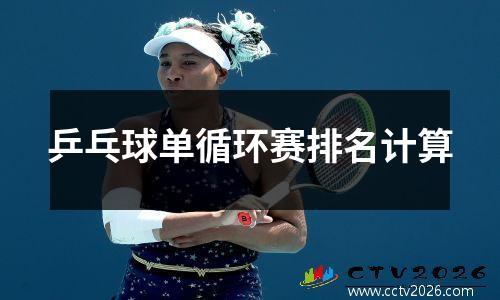 乒乓球单循环赛排名计算