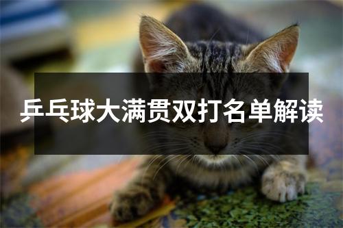 乒乓球大满贯双打名单解读