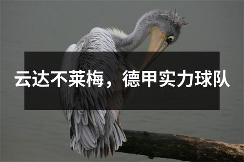 云达不莱梅，德甲实力球队