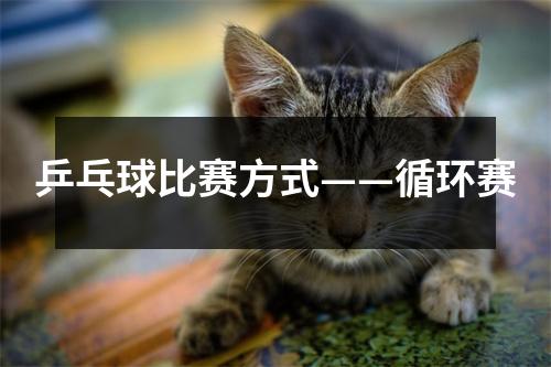 乒乓球比赛方式——循环赛