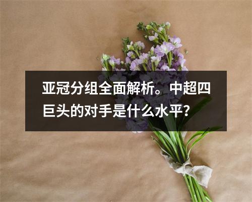 亚冠分组全面解析。中超四巨头的对手是什么水平？