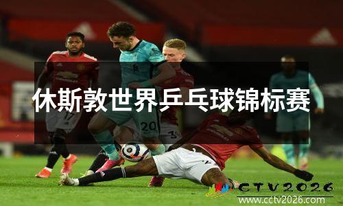 休斯敦世界乒乓球锦标赛