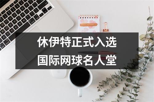 休伊特正式入选国际网球名人堂