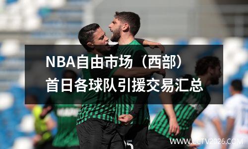 NBA自由市场（西部）首日各球队引援交易汇总