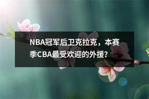NBA冠军后卫克拉克，本赛季CBA最受欢迎的外援？