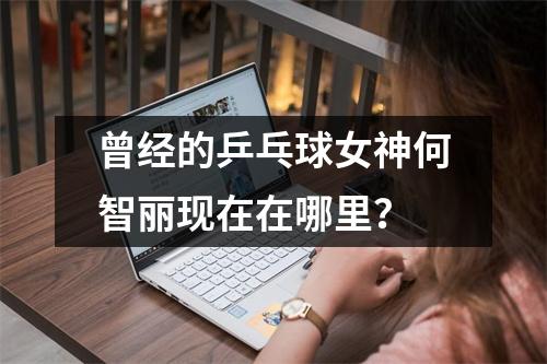 曾经的乒乓球女神何智丽现在在哪里？