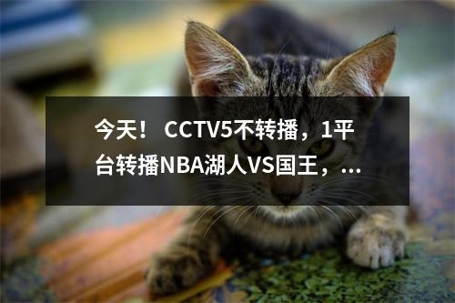 今天！ CCTV5不转播，1平台转播NBA湖人VS国王，詹姆斯浓眉力争连胜
