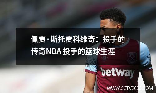 佩贾·斯托贾科维奇：投手的传奇NBA 投手的篮球生涯