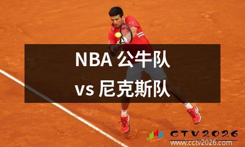 NBA 公牛队vs 尼克斯队
