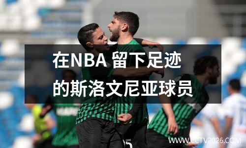 在NBA 留下足迹的斯洛文尼亚球员