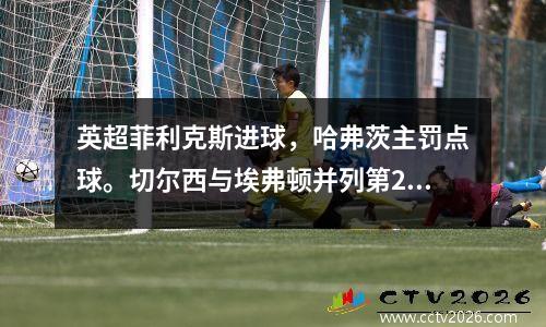 英超菲利克斯进球，哈弗茨主罚点球。切尔西与埃弗顿并列第22位，排名第10位。