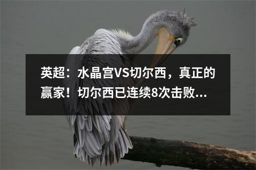 英超：水晶宫VS切尔西，真正的赢家！切尔西已连续8次击败水晶宫