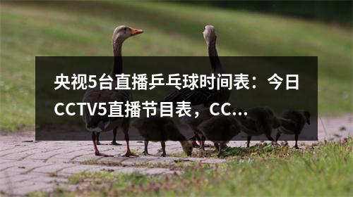 央视5台直播乒乓球时间表：今日CCTV5直播节目表，CCTV5+节目单！