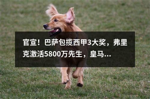 官宣！巴萨包揽西甲3大奖，弗里克激活5800万先生，皇马卫冕难了