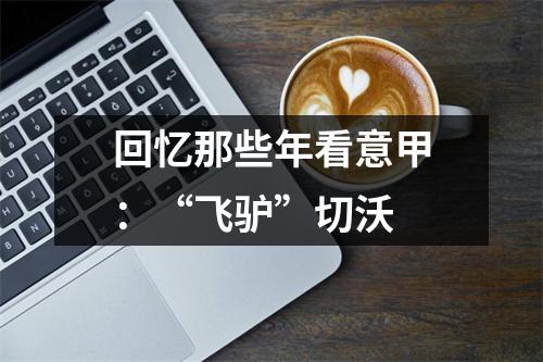 回忆那些年看意甲：“飞驴”切沃
