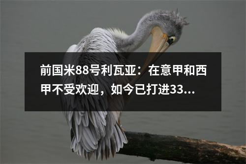 前国米88号利瓦亚：在意甲和西甲不受欢迎，如今已打进33球再次受欢迎
