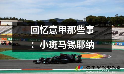 回忆意甲那些事：小斑马锡耶纳