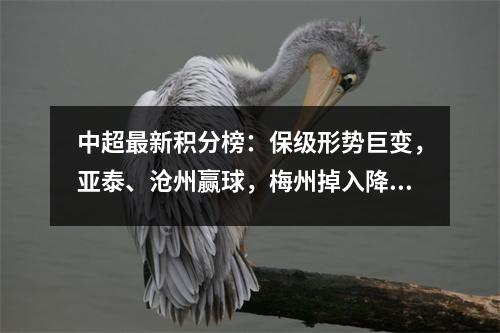 中超最新积分榜：保级形势巨变，亚泰、沧州赢球，梅州掉入降级区
