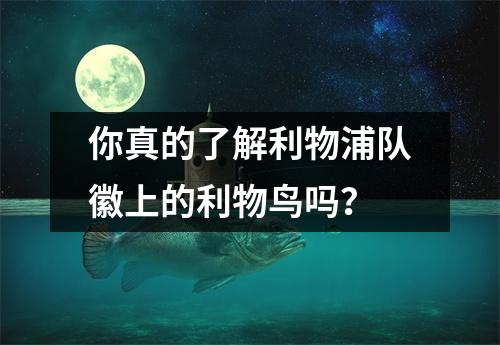 你真的了解利物浦队徽上的利物鸟吗？