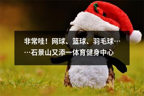 非常哇！网球、篮球、羽毛球……石景山又添一体育健身中心