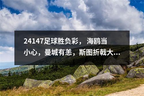 24147足球胜负彩， 海鸥当小心，曼城有恙，斯图折戟大黄蜂