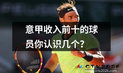 意甲收入前十的球员你认识几个？