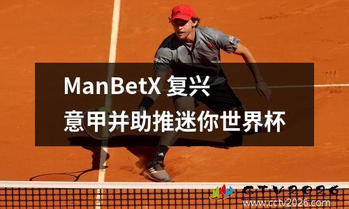 ManBetX 复兴意甲并助推迷你世界杯