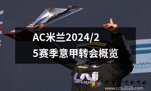 AC米兰2024/25赛季意甲转会概览