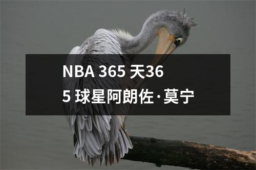 NBA 365 天365 球星阿朗佐·莫宁