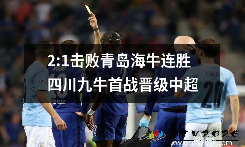 2:1击败青岛海牛连胜四川九牛首战晋级中超