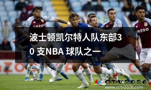 波士顿凯尔特人队东部30 支NBA 球队之一