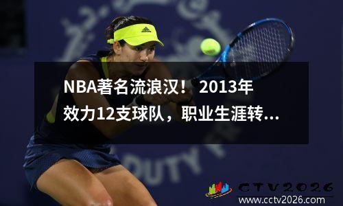 NBA著名流浪汉！ 2013年效力12支球队，职业生涯转会21次，身披湖人24号
