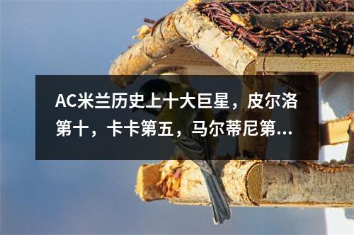 AC米兰历史上十大巨星，皮尔洛第十，卡卡第五，马尔蒂尼第二。