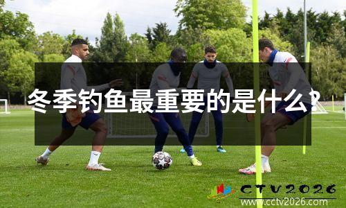 冬季钓鱼最重要的是什么？