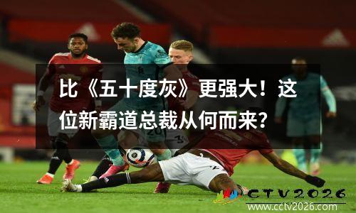 比《五十度灰》更强大！这位新霸道总裁从何而来？
