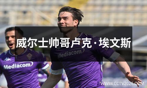 威尔士帅哥卢克·埃文斯